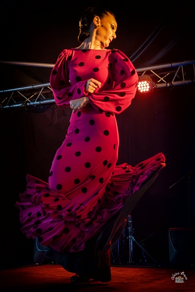 flamenco (87)